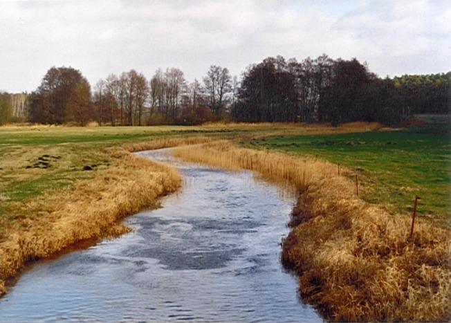 Glasewitz - Augraben