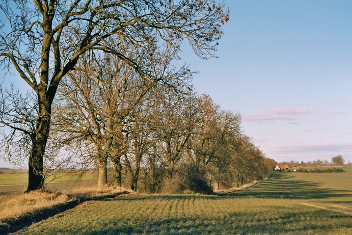 Glasewitz - Plaaz