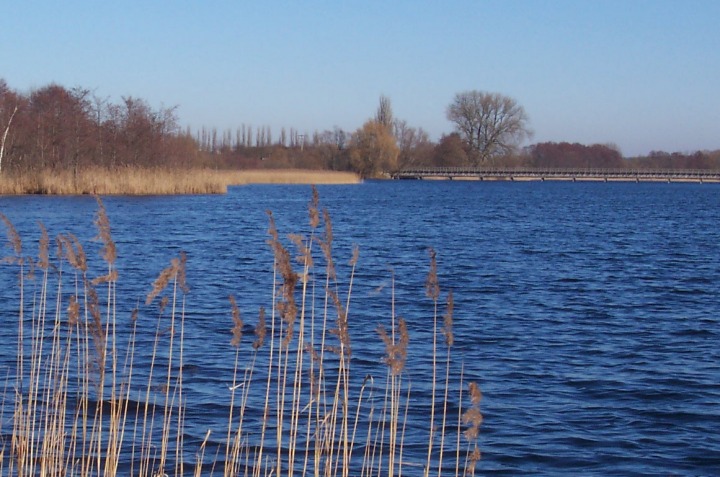 Blick über den Inselsee