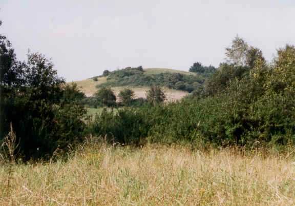 Landschaftsschutzgebiet