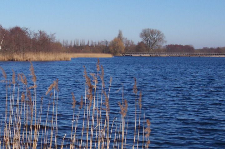 Blick über den Inselsee