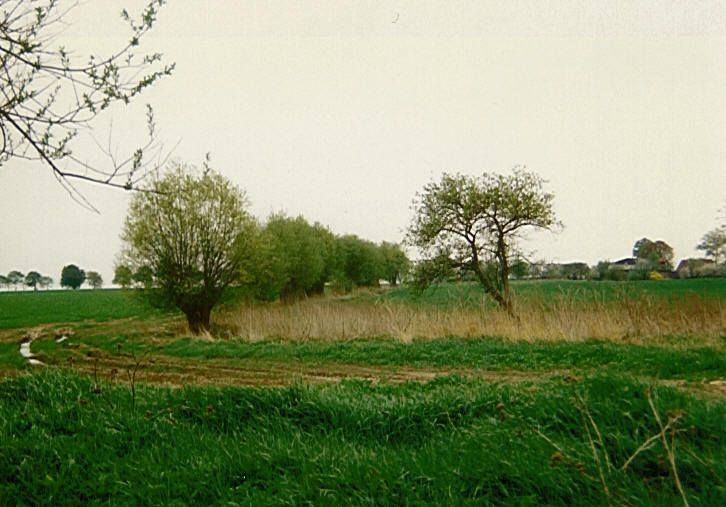 Kuhs - Landschaft