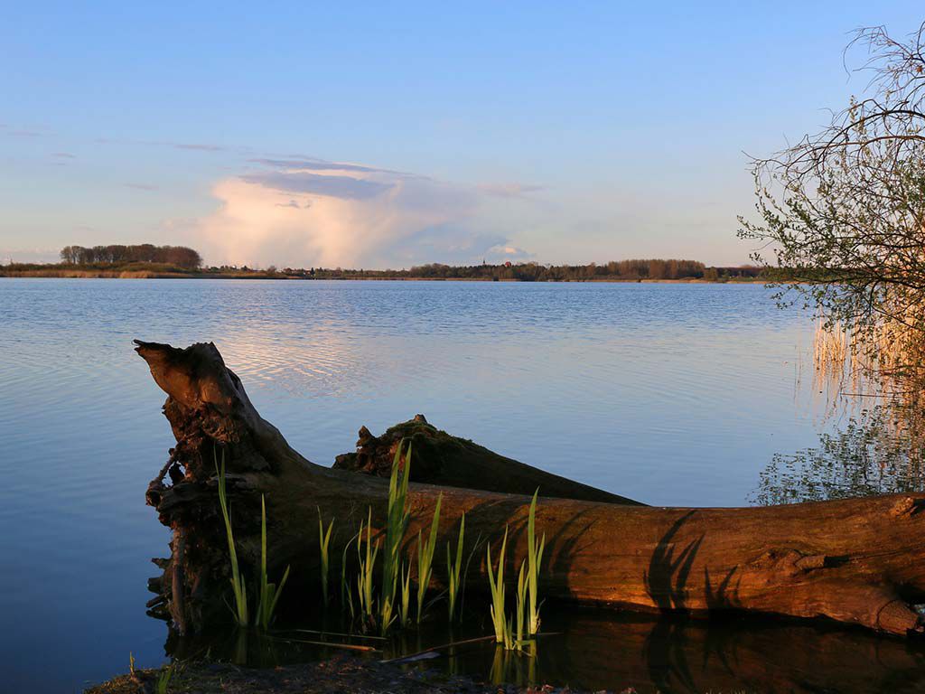 Blick über den Sumpfsee, Foto Rüdiger Struve