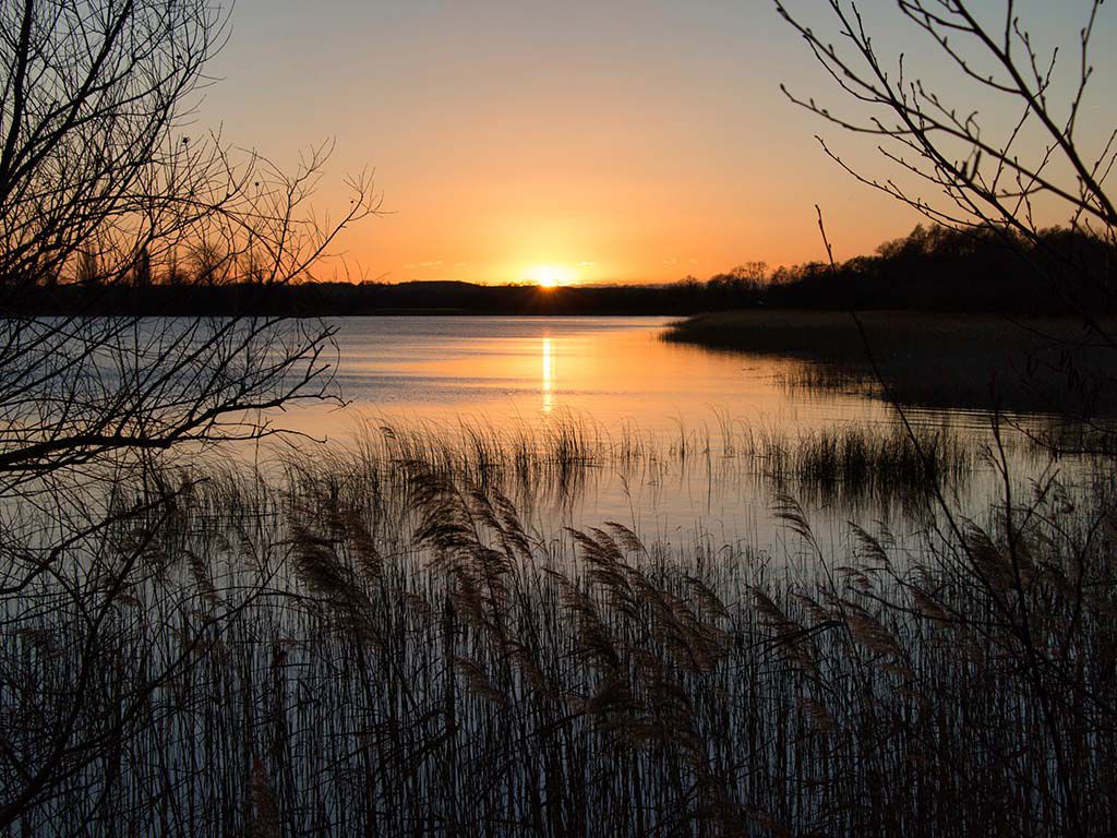 Abendstimmung am Inselsee, Foto Rüdiger Struve