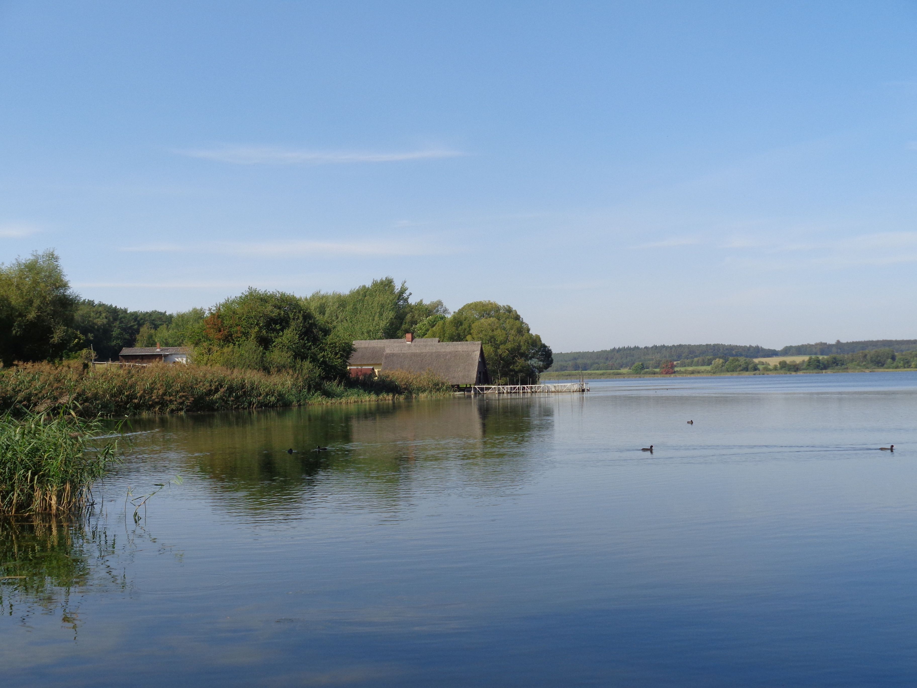 Lohmener See mit Blick auf den Fischereihof