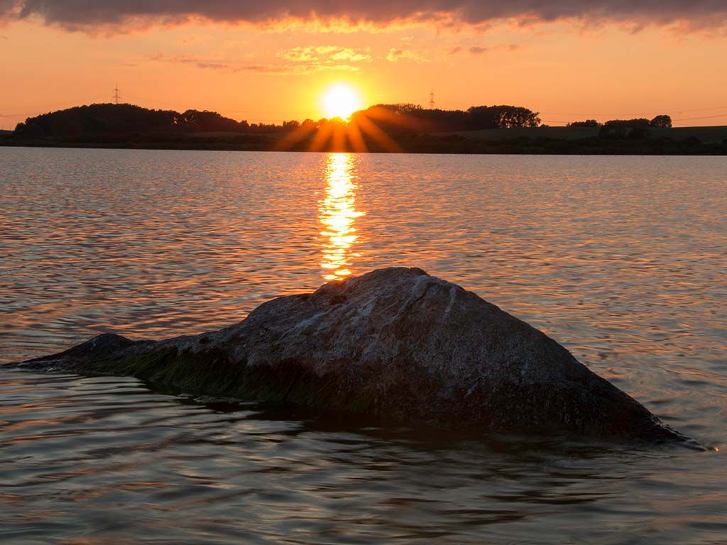 Fels im Sumpfsee, Foto Rüdiger Struve