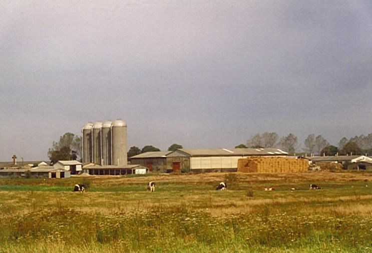 Reimershagen - Landwirtschaft