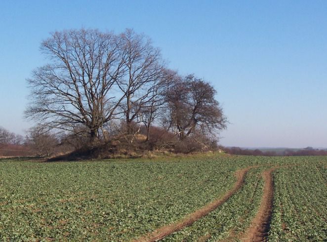 Hügelgrab bei Lüssow