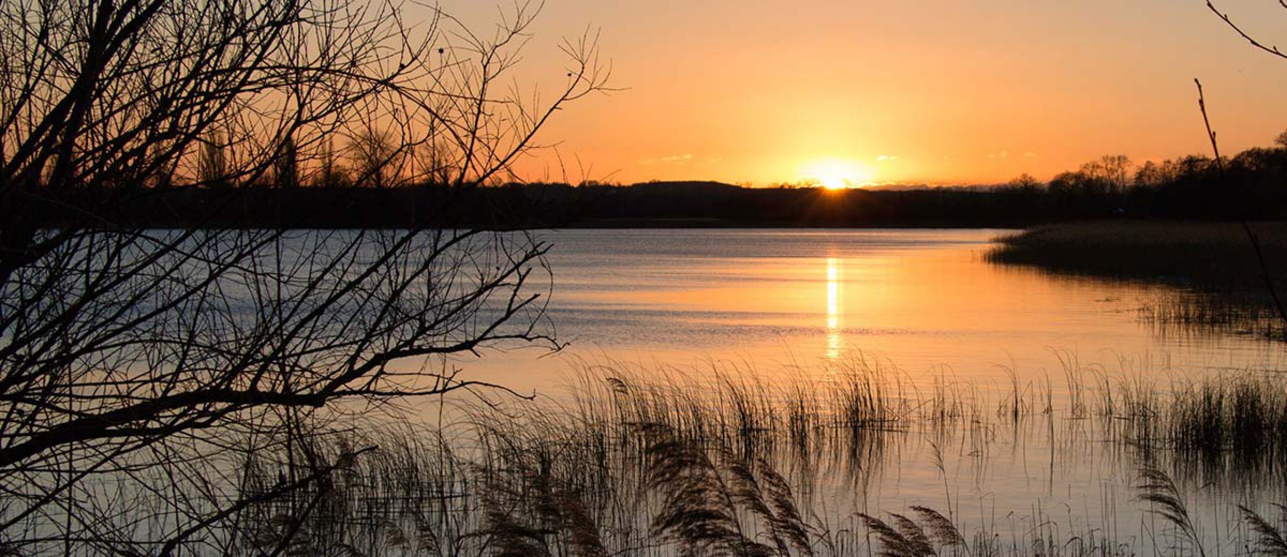 Abendstimmung am Inselsee in Mühl Rosin, Foto Rüdiger Struve