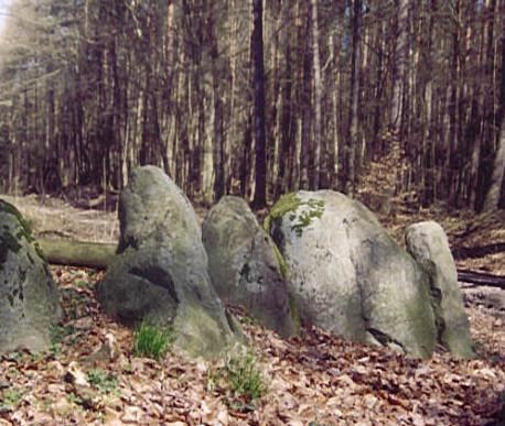 Steintanz in den Koitendorfer Tannen