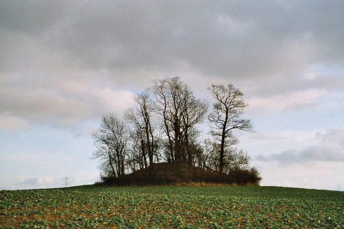 Hügelgrab bei Lüssow