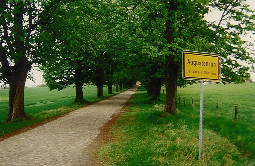 Kastanienallee in Augustenruh