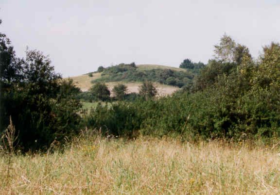 Landschaftsschutzgebiet